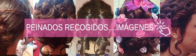 Peinados recogidos en C'est si bon
